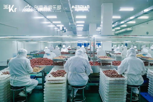 源頭工廠 消費產(chǎn)業(yè)增長的韌性引擎——互聯(lián)網(wǎng)銷售新業(yè)態(tài)下的產(chǎn)業(yè)帶計劃